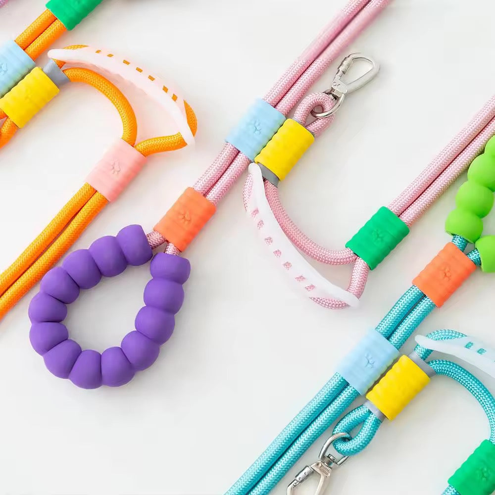 Rainbow leash with Traffic Handle