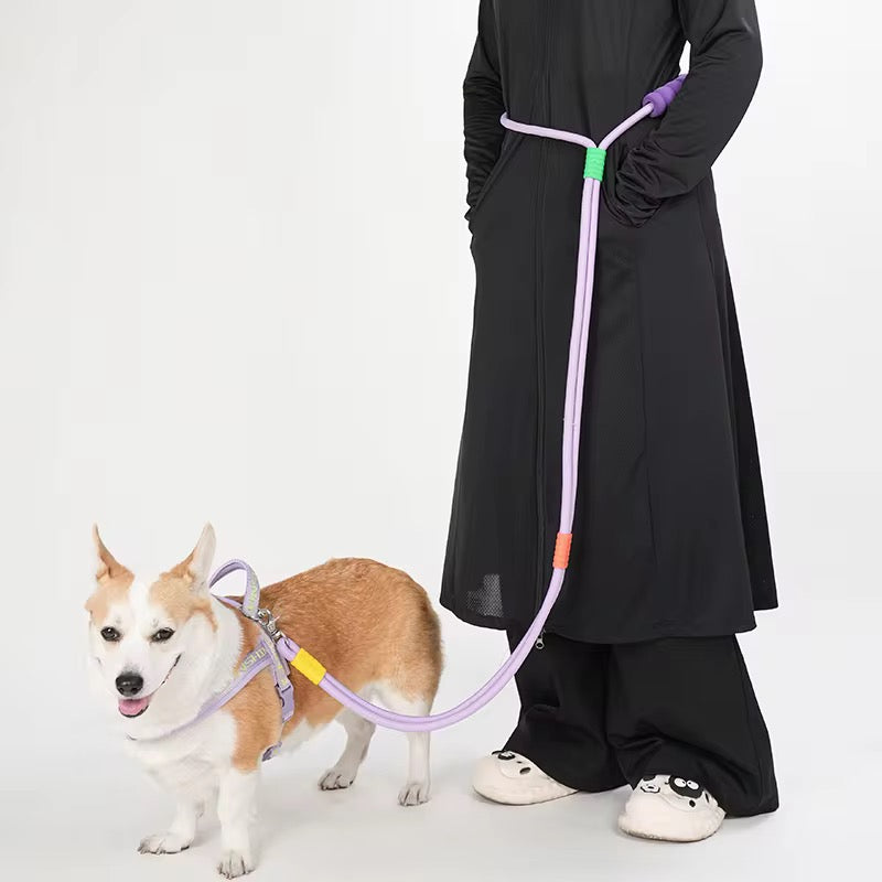 Hands-Free Rainbow Leash