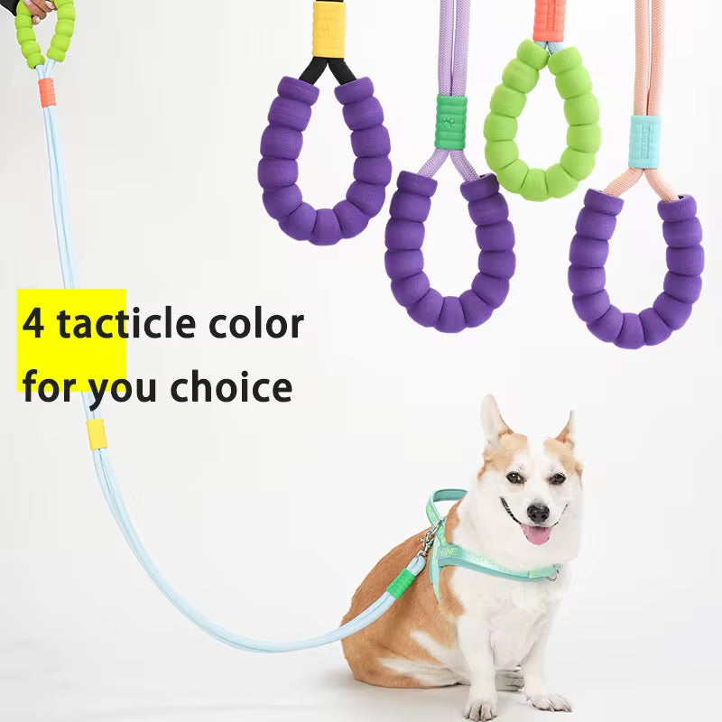 Hands-Free Rainbow Leash