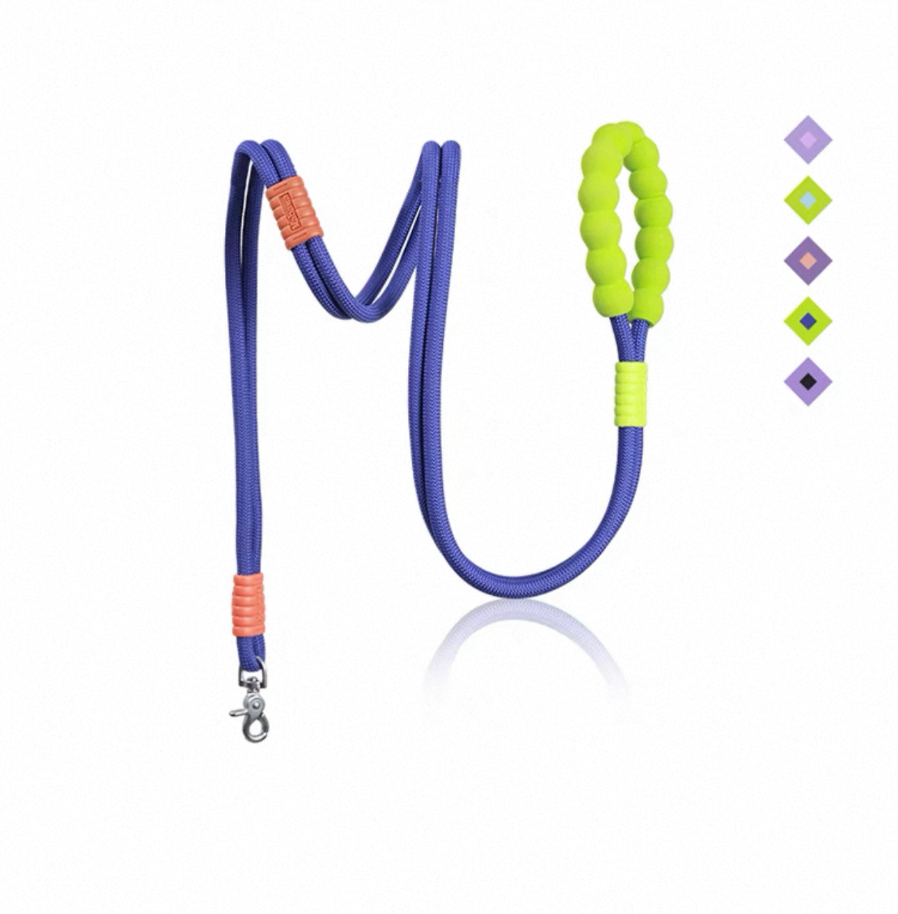 Hands-Free Rainbow Leash