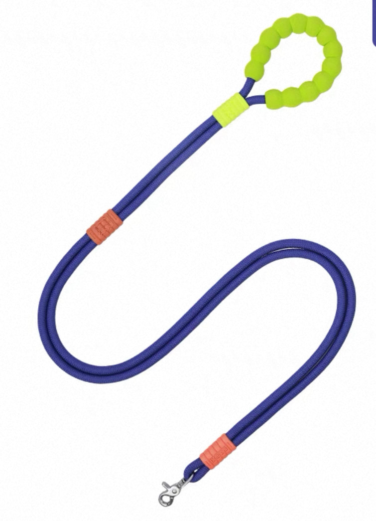 Hands-Free Rainbow Leash