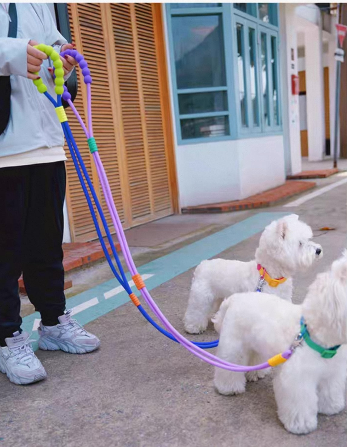 Hands-Free Rainbow Leash