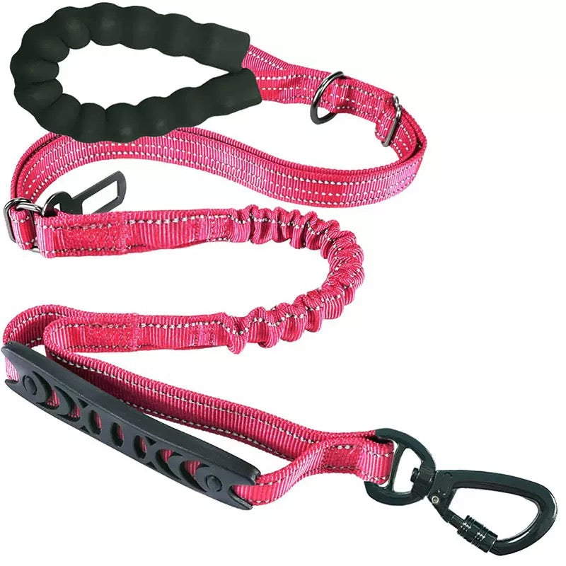 Multiway Bungee Dog Leash