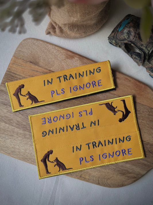 Embroidered Velcro Leash Patch- In Training, Pls Ignore