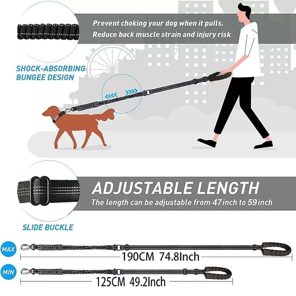 Multiway Bungee Dog Leash