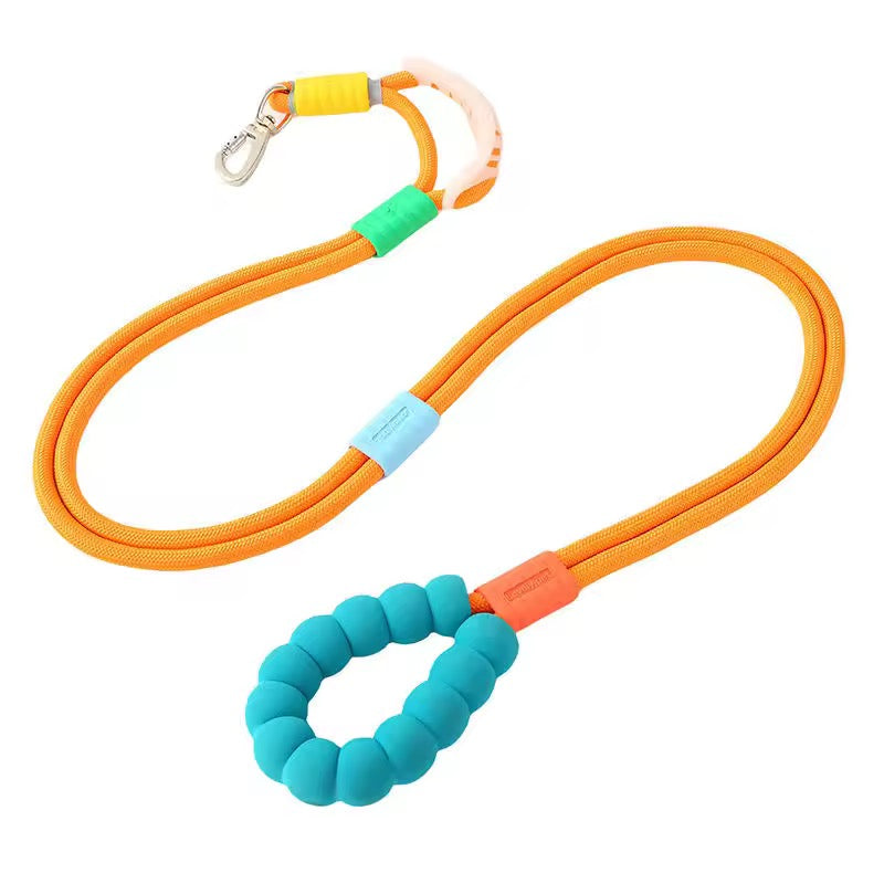 Rainbow leash with Traffic Handle 