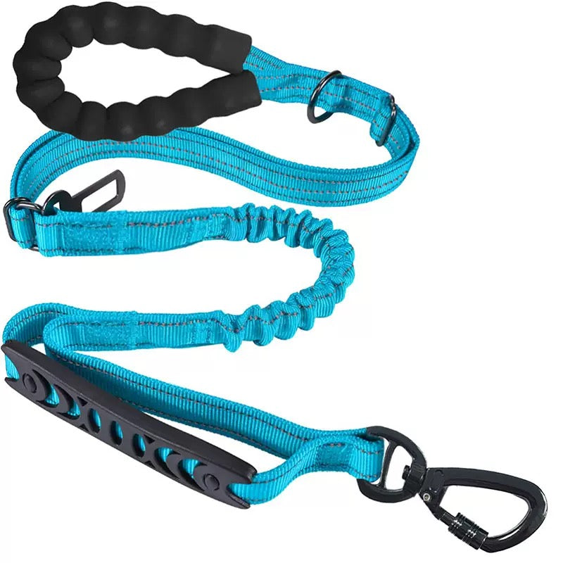 Multiway Bungee Dog Leash
