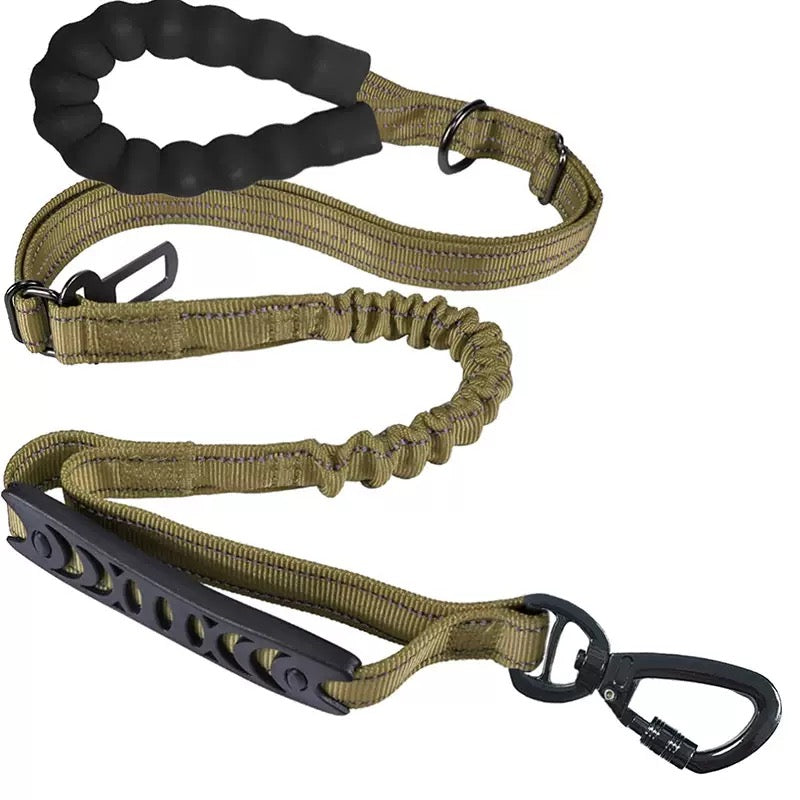 Multiway Bungee Dog Leash