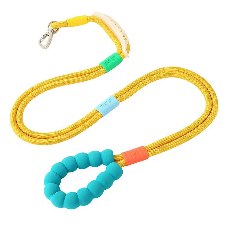 Rainbow leash with Traffic Handle 