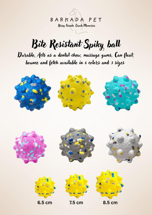 Bite Resistant Spiky Ball