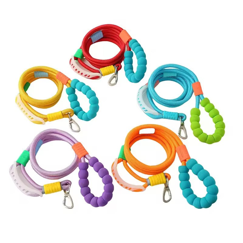 Rainbow leash with Traffic Handle 