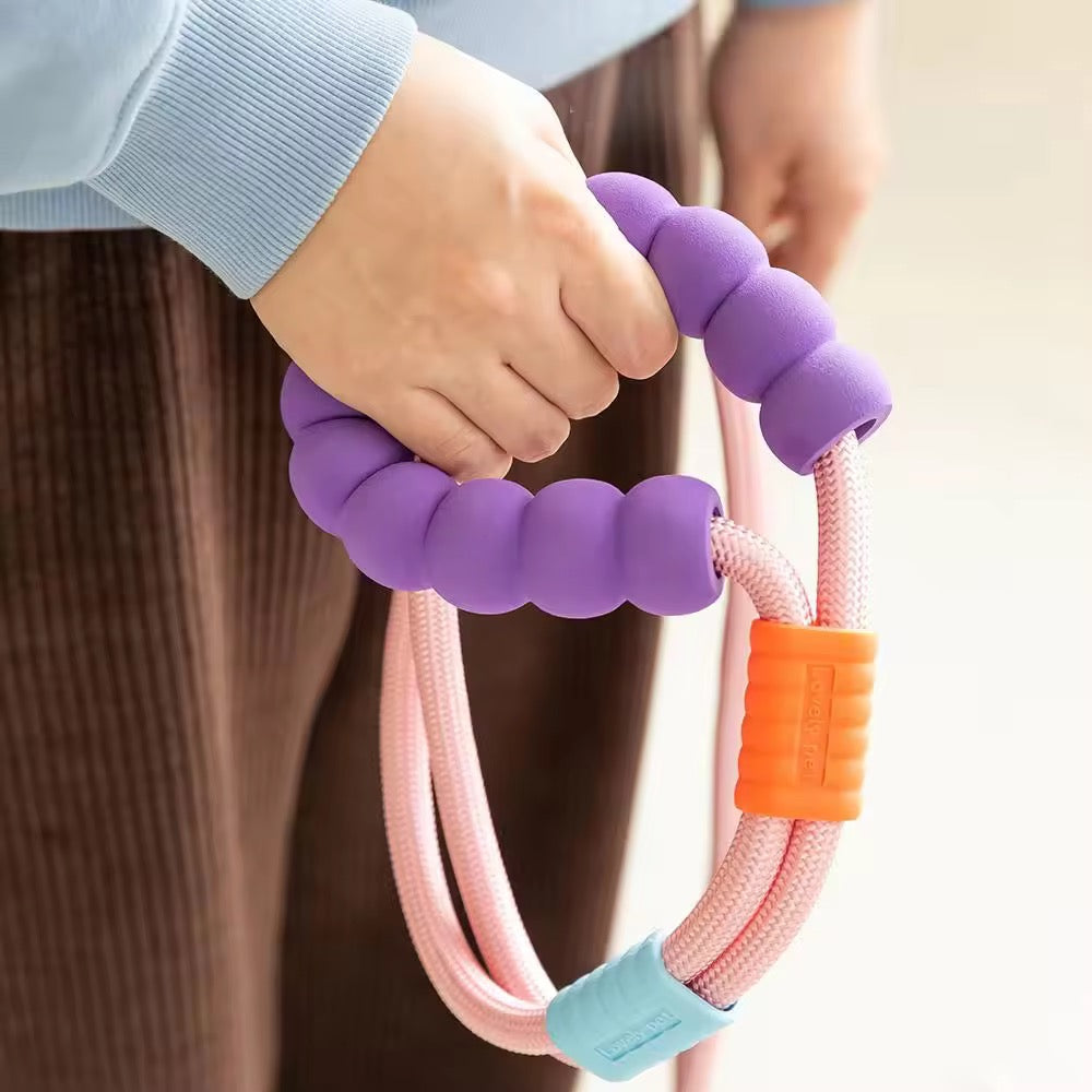 Rainbow leash with Traffic Handle 