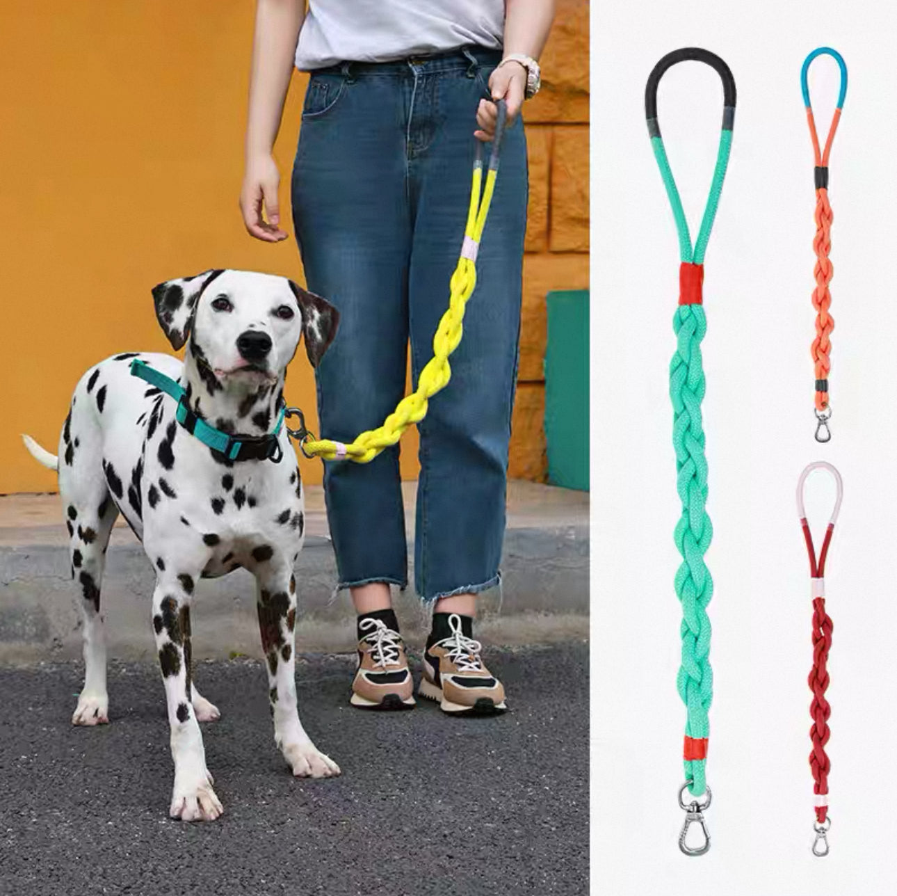 Barkada Twist Stylish Handwoven Leash