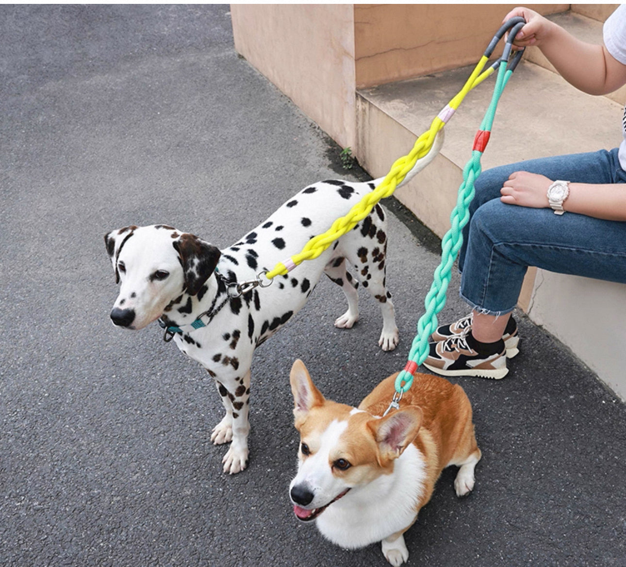 Barkada Twist Stylish Handwoven Leash
