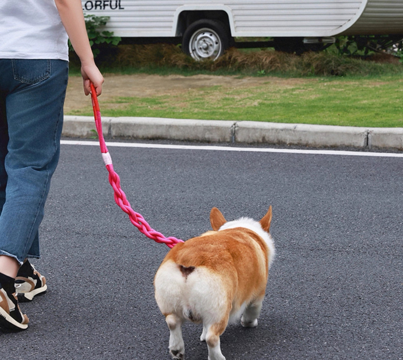 Barkada Twist Stylish Handwoven Leash